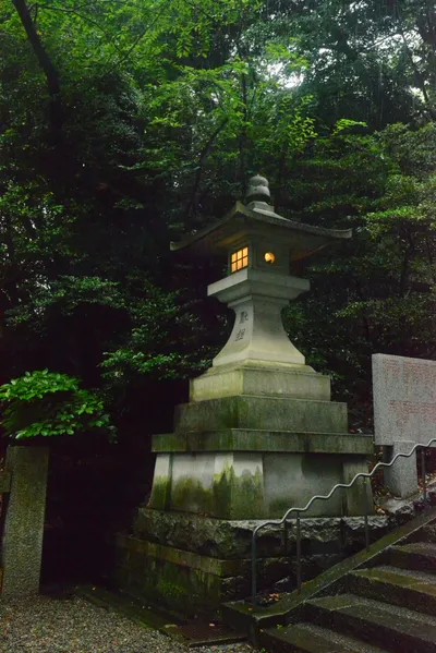 DSC_3224 (Large).JPG